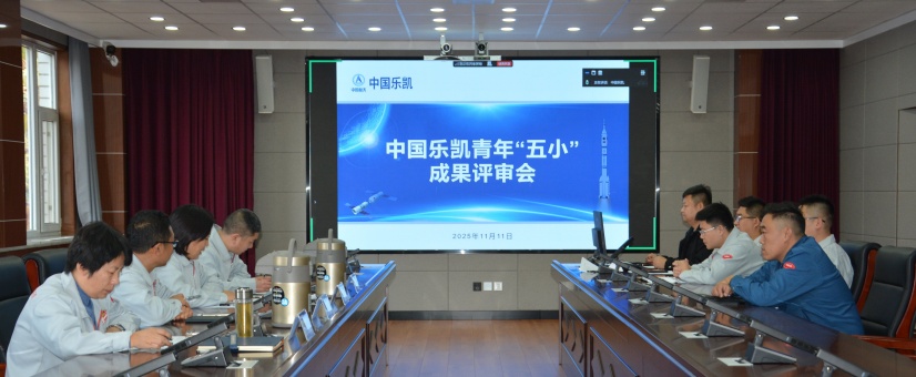 激揚(yáng)青春智造力！中國(guó)樂凱團(tuán)委召開青年&ldquo;五小&rdquo;成果評(píng)審會(huì)